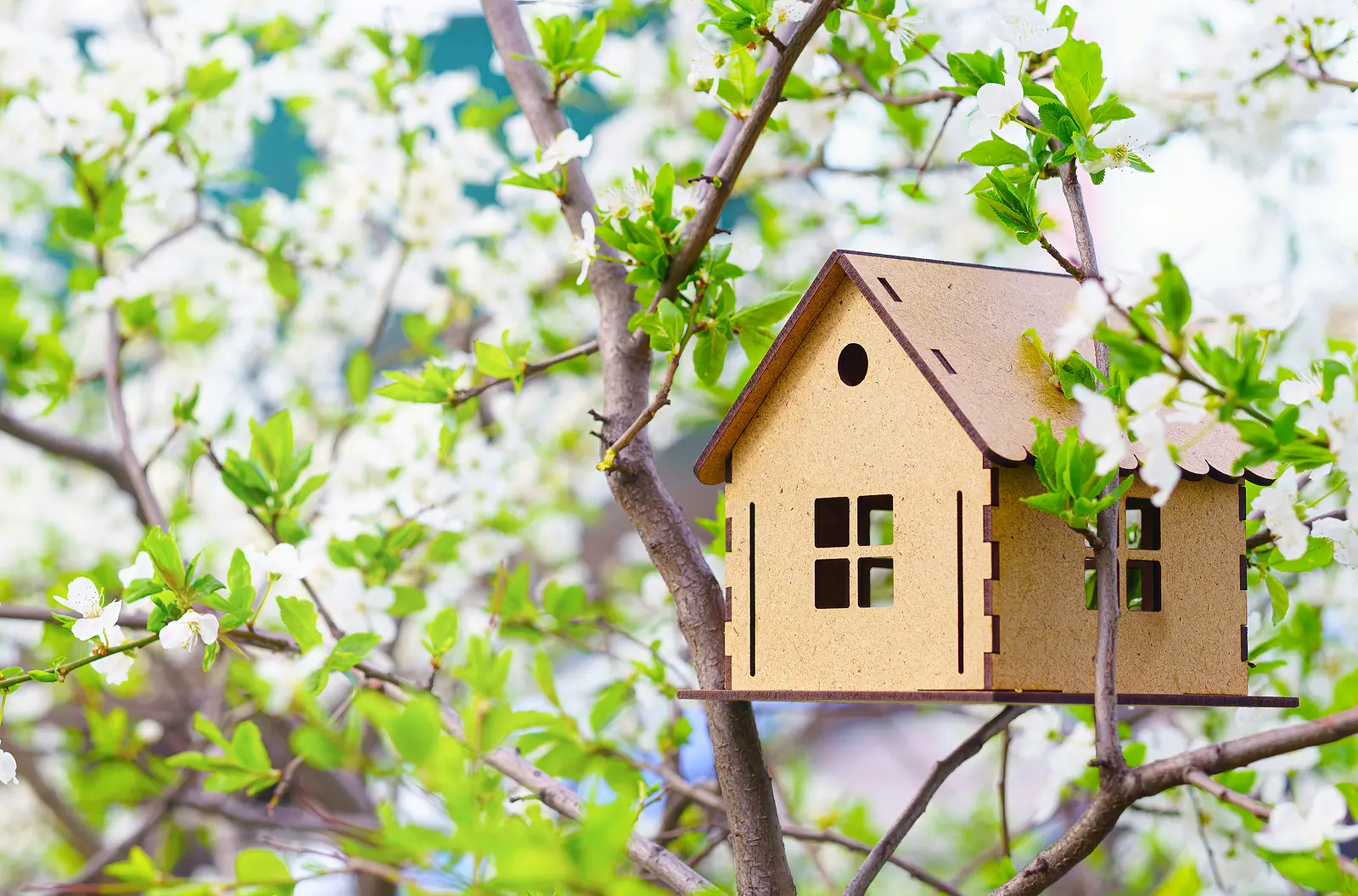 Spring Leasing Ideas Spring Leasing Season in Cypress: How to Fill Your Rental Faster in 2026